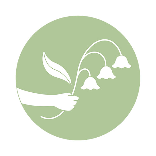 Be green by KIELO COFFEE